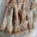 大羊后腱羊后棒