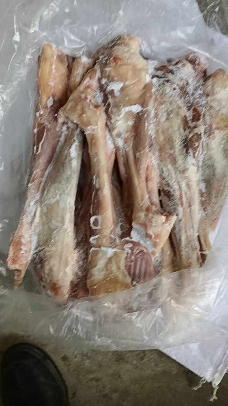 大羊后腱羊后棒