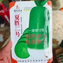 夏胜二号四季罗卜耐热罗卜种子深绿色小板叶一亩15000斤
