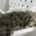 产地直发二茬鲜平菇