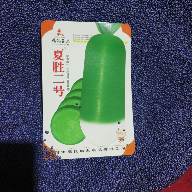 夏胜二号四季罗卜耐热罗卜种子深绿色小板叶一亩15000斤