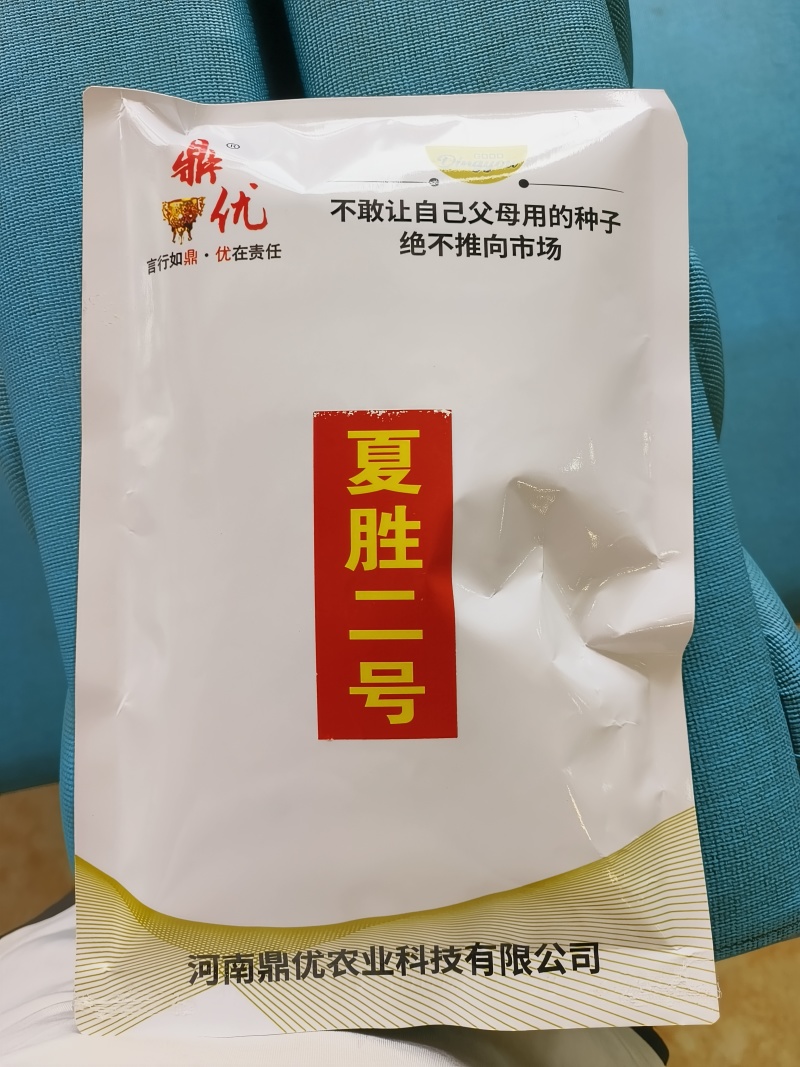 夏胜二号四季罗卜耐热罗卜种子深绿色小板叶一亩15000斤