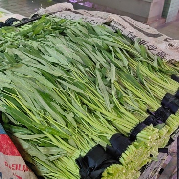 空心菜