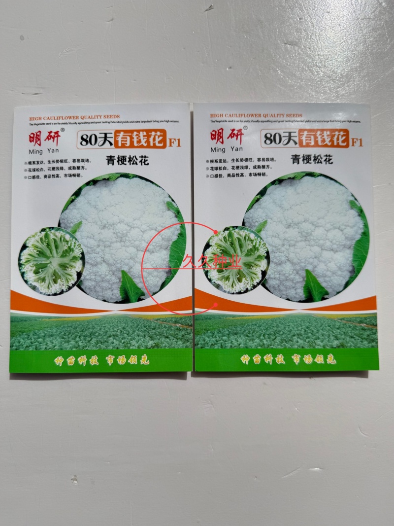 明研80天有钱花青梗松花菜种子蔬菜种子高产耐热耐湿商品性