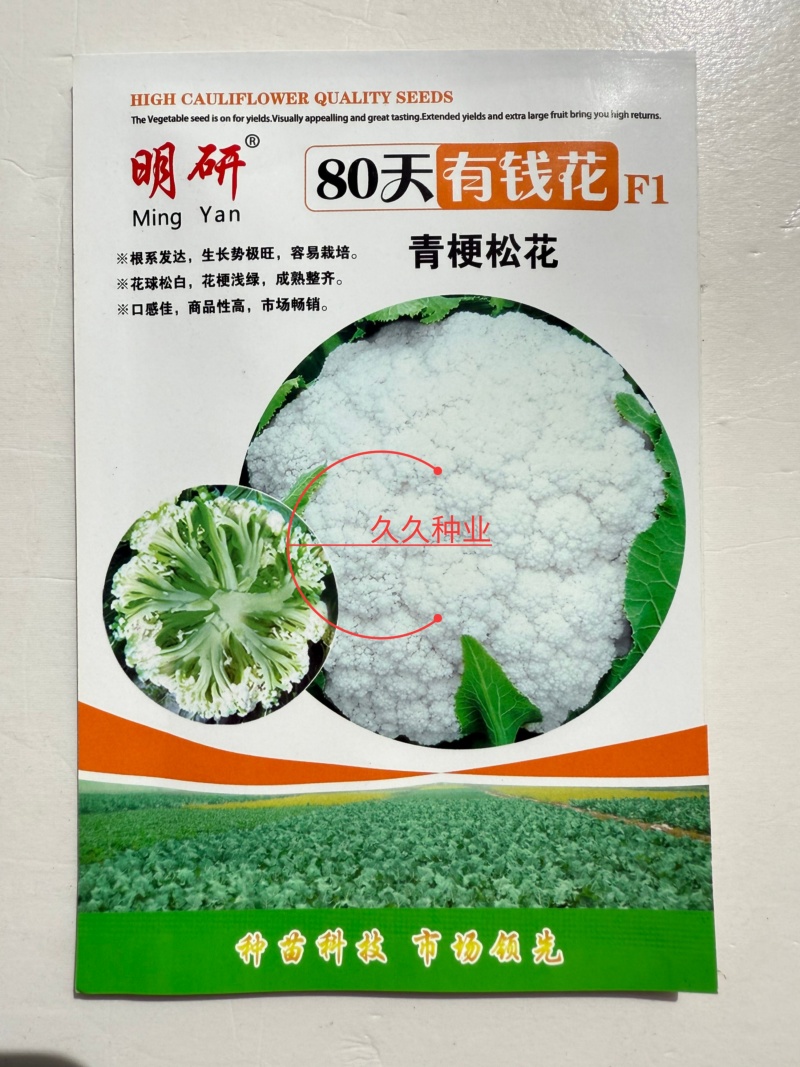 明研80天有钱花青梗松花菜种子蔬菜种子高产耐热耐湿商品性
