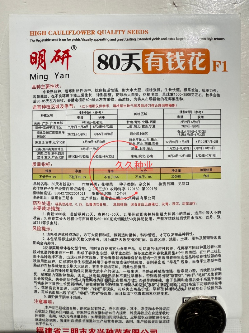 明研80天有钱花青梗松花菜种子蔬菜种子高产耐热耐湿商品性