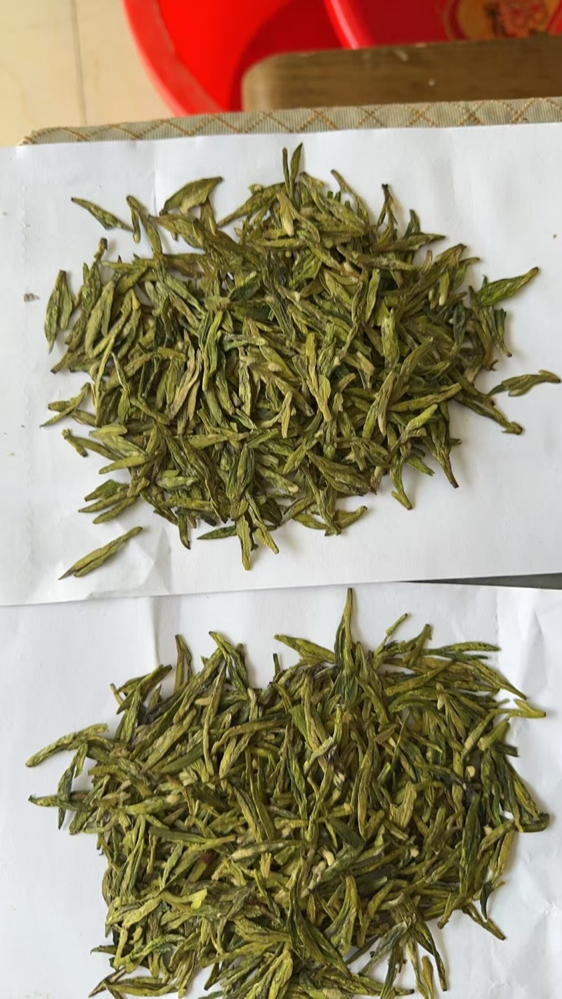龙井茶荒野龙井500g包邮