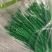 【粗六股加粗线爬藤网】黄瓜苦瓜丝瓜专用网植物攀爬种植网