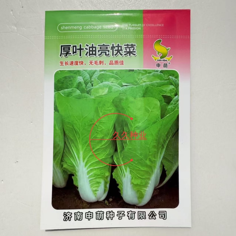 申萌厚叶油亮快菜种子杂交无毛刺白帮四季速生小白菜蔬菜青菜