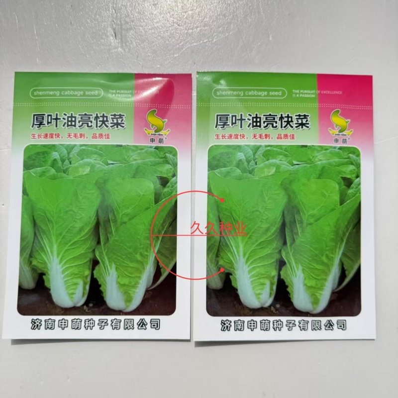 申萌厚叶油亮快菜种子杂交无毛刺白帮四季速生小白菜蔬菜青菜