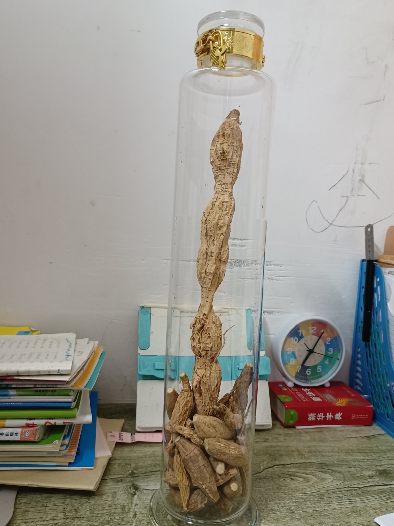 野生牛大力，蛋串串香甜可口