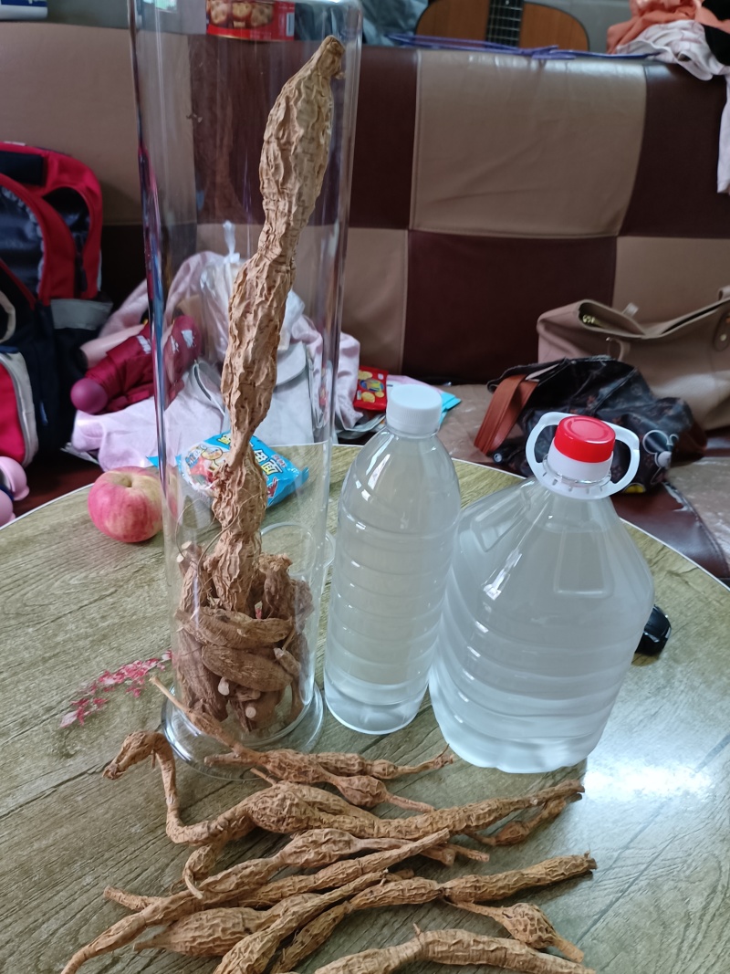 野生牛大力，蛋串串香甜可口