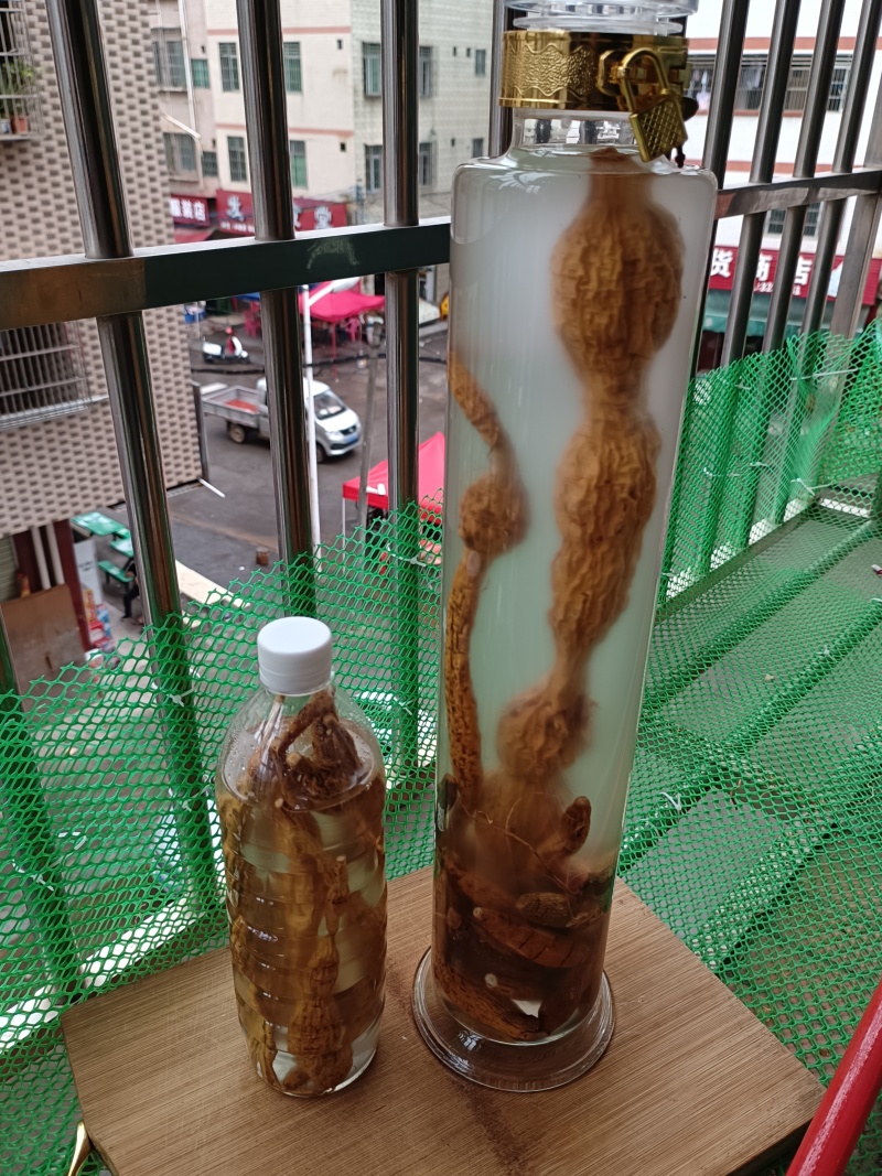 野生牛大力，蛋串串香甜可口