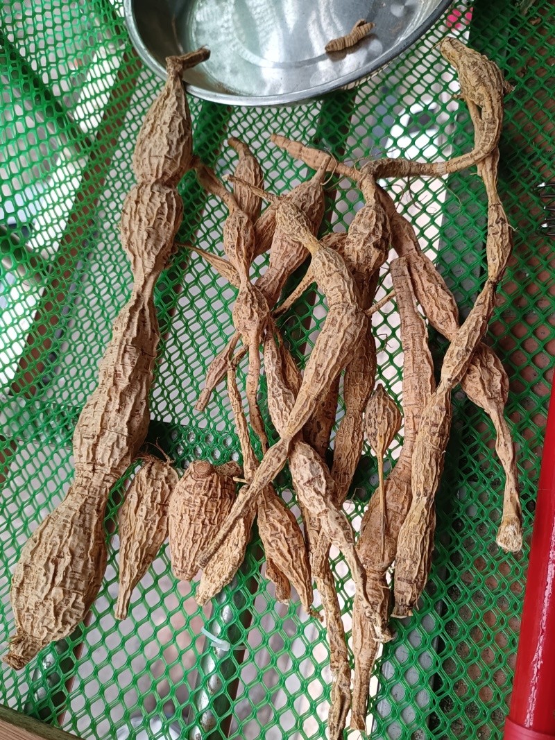 野生牛大力，蛋串串香甜可口
