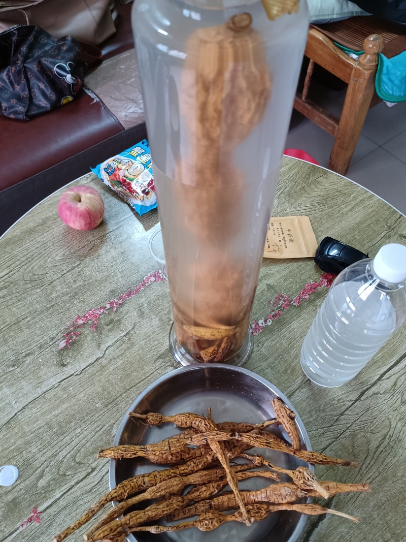 野生牛大力，蛋串串香甜可口