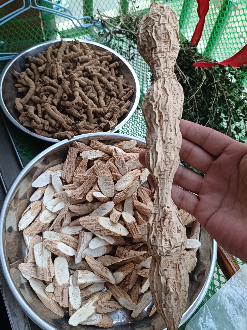 野生牛大力，蛋串串香甜可口