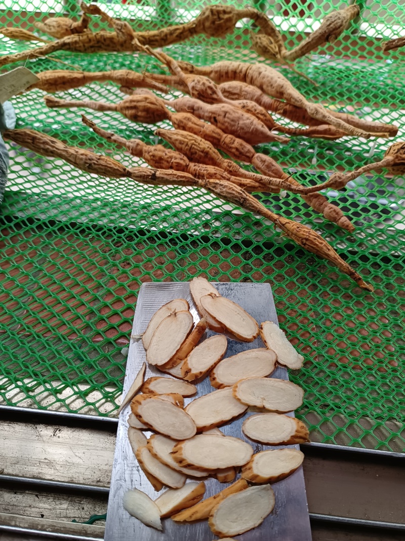 野生牛大力，蛋串串香甜可口