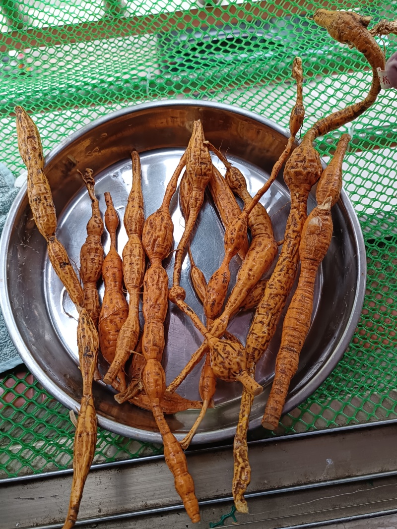 野生牛大力，蛋串串香甜可口