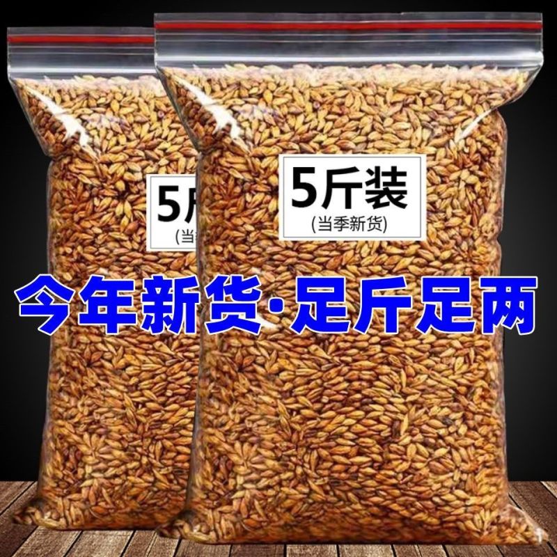 大麦中药材大麦炒大麦正宗原味浓香型散装批发量大可谈