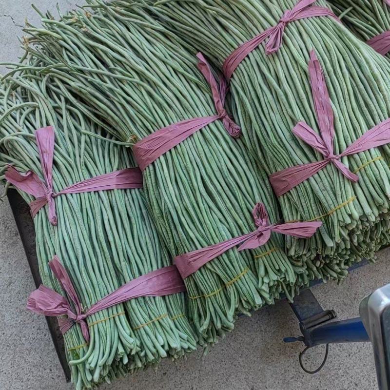 长豆角大量上市中
