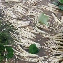 现采现卖