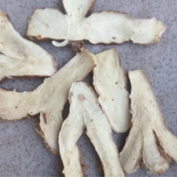 中药材无硫知母精品一等品