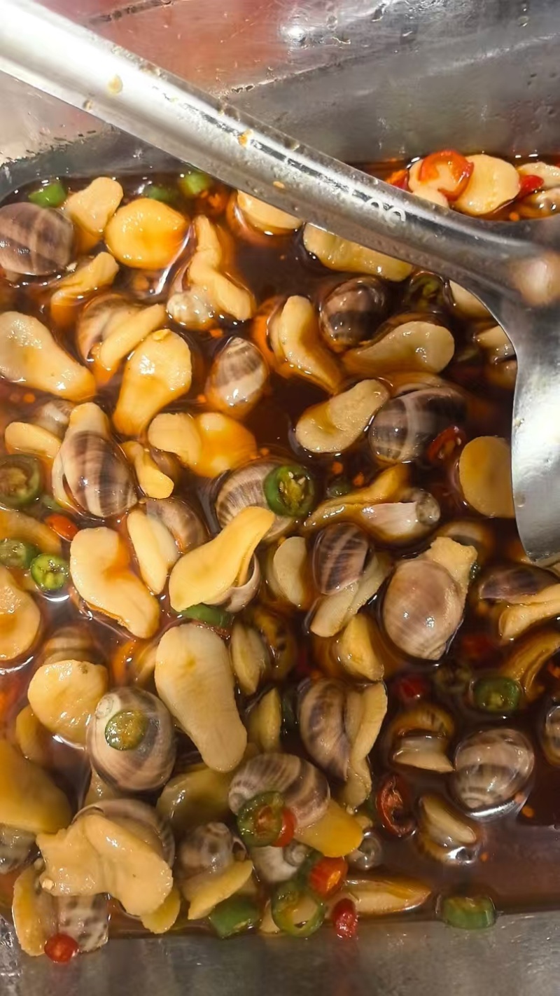 珍珠螺捞汁食材贵妃螺壳薄肉大香妃螺小海螺