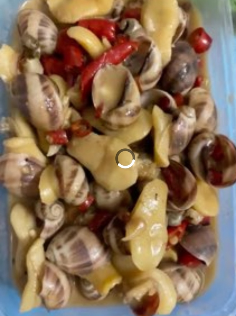 珍珠螺捞汁食材贵妃螺壳薄肉大香妃螺小海螺