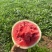 露天美都。露天红米王露天瓜等