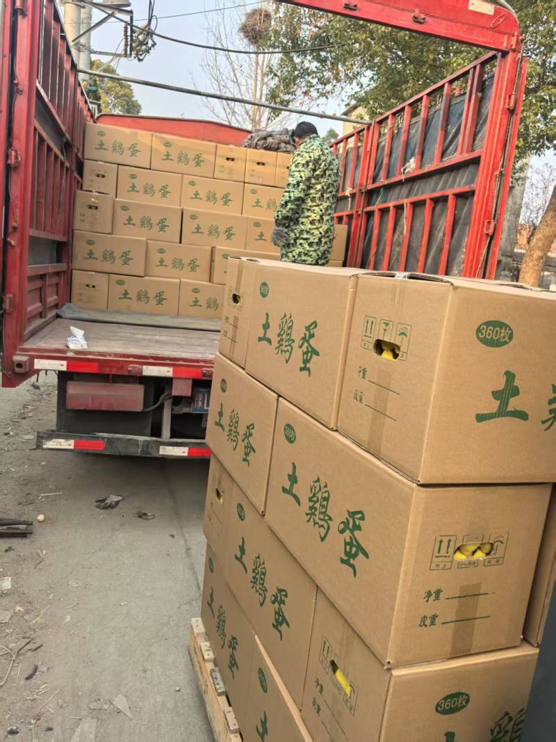 土鸡蛋单双色鸡蛋厂家直发供货稳定对接全国商超市场详情电联