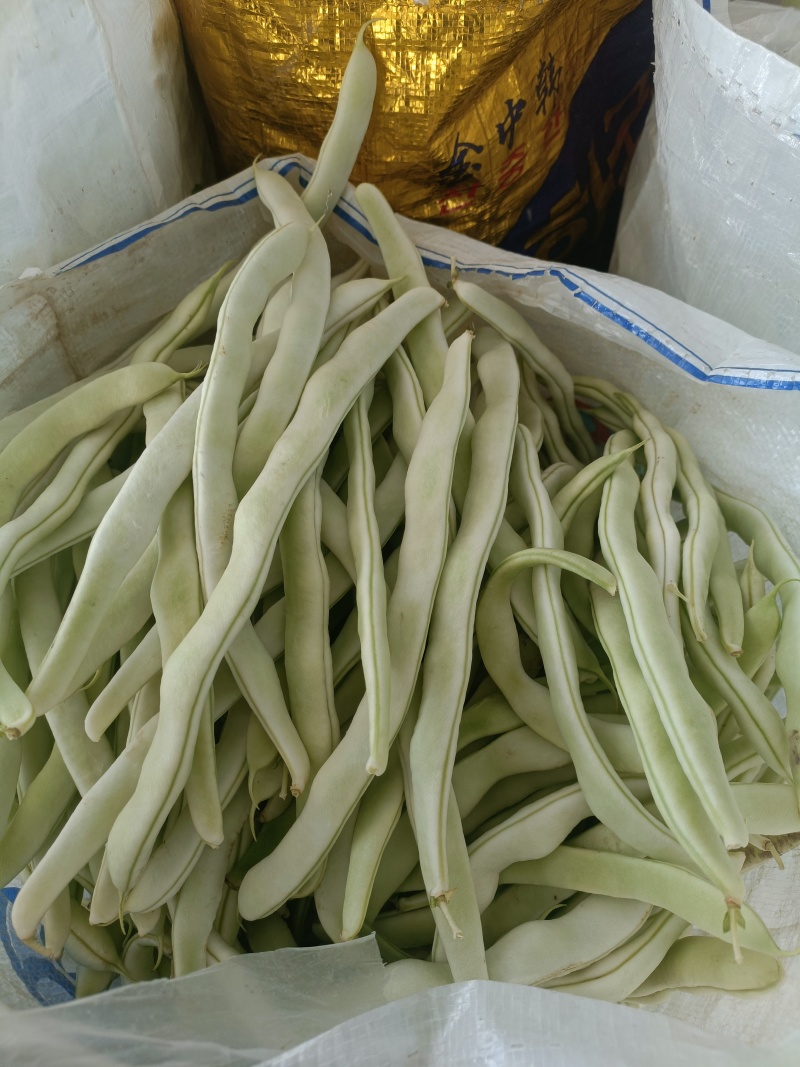 大量上市，价格稳中下滑