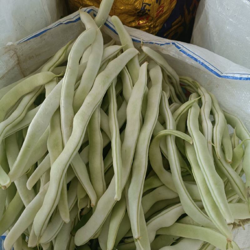 大量上市，价格稳中下滑
