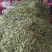 万亩紫花油豆大量有货