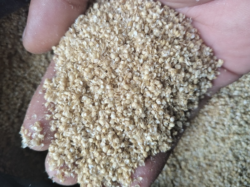 小米糠