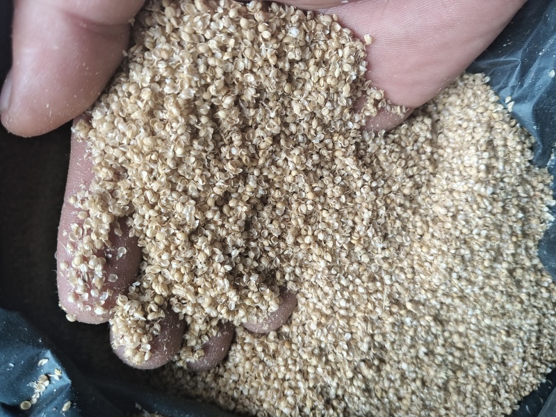 小米糠
