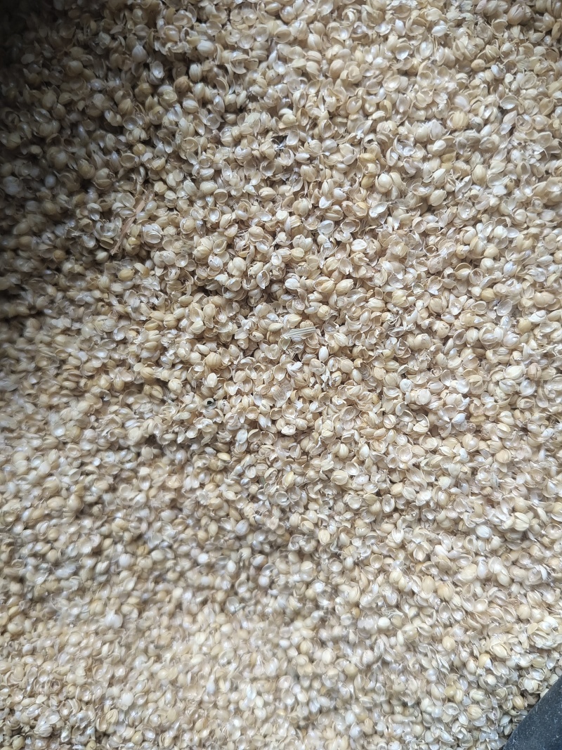 小米糠
