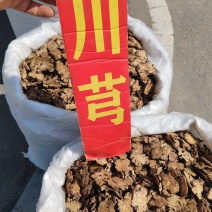 川芎中药材川芎四川道地药材大货供应