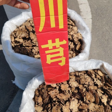 川芎中药材川芎四川道地药材大货供应