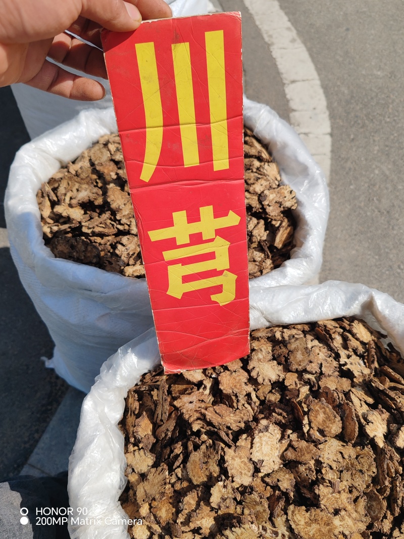川芎中药材川芎四川道地药材大货供应