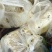 【荐】大山深处里的野蜂蜜，产地直发，货源充足，品质保证