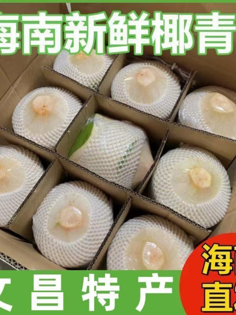 椰青批发