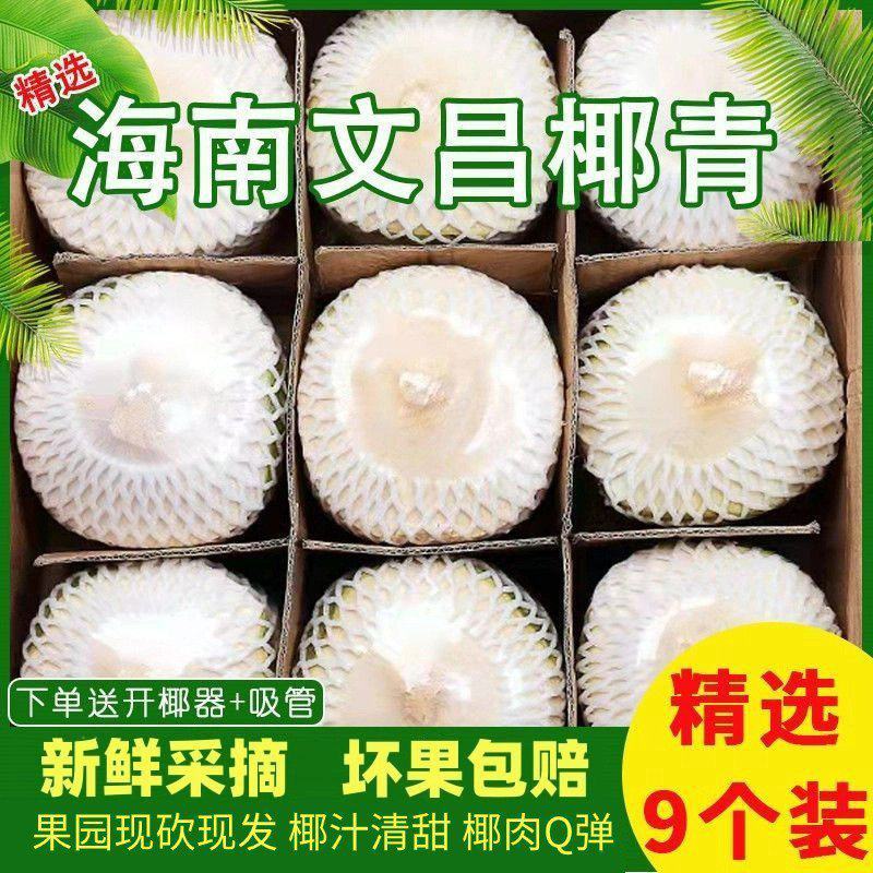 椰青批发