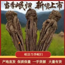 【精品无硫当归】特大条5支一斤岷县产地直发保质保量