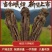【精品无硫当归】特大条5支一斤岷县产地直发保质保量