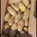 湖北黄心大土豆，千亩基地，人工挑选，质量保证，量大从优