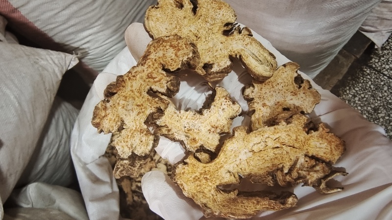 苍术片含量高朱砂点多无硫熏2斤起包邮