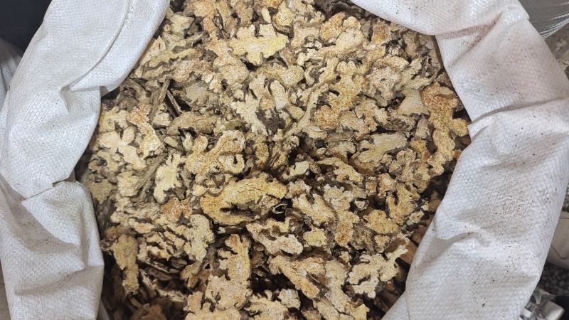 苍术片含量高朱砂点多无硫熏2斤起包邮