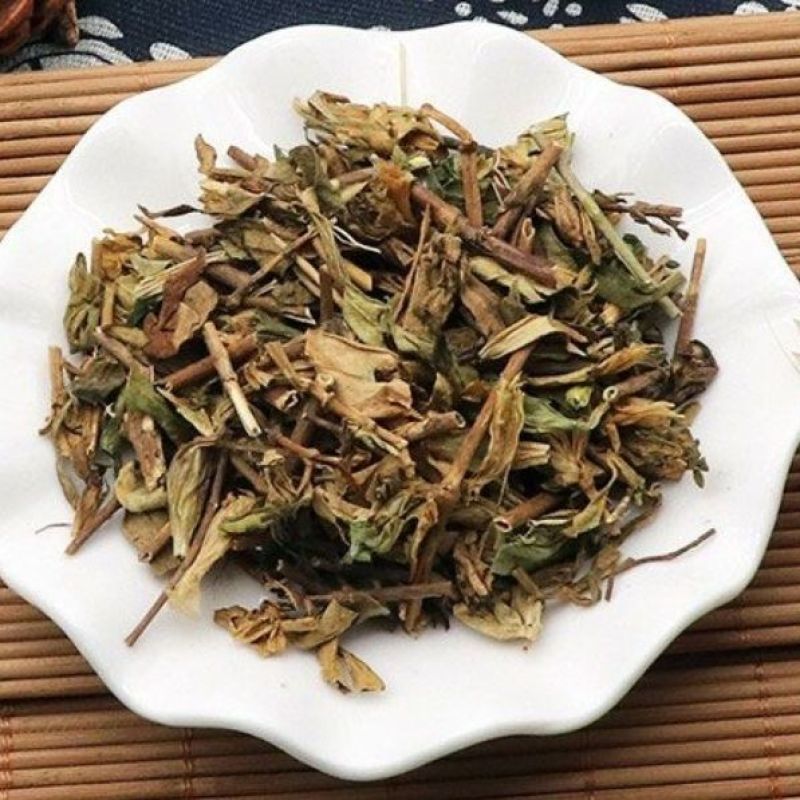 龙胆草苗1公斤中药材北龙胆草根苦龙胆地胆草草山龙胆胆草四叶胆