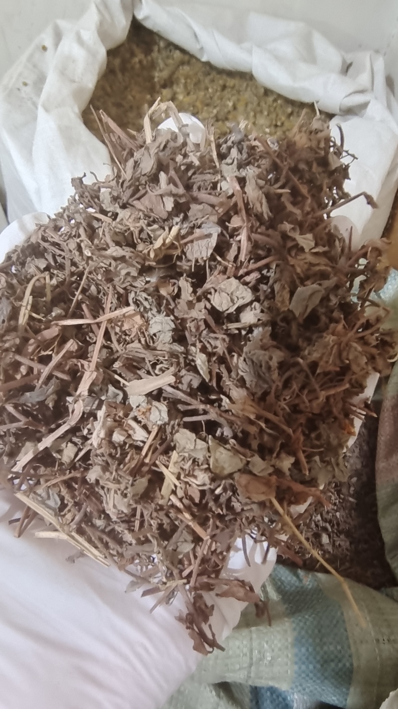 金钱草大叶小叶都有干货2斤包邮量大从优