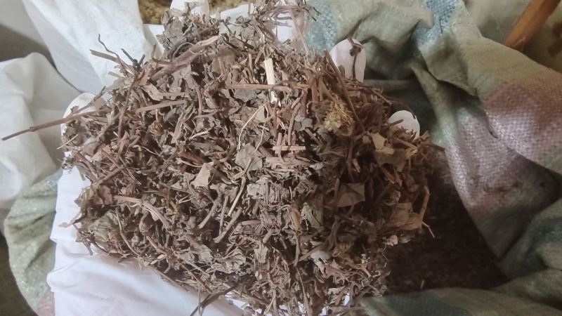 金钱草大叶小叶都有干货2斤包邮量大从优